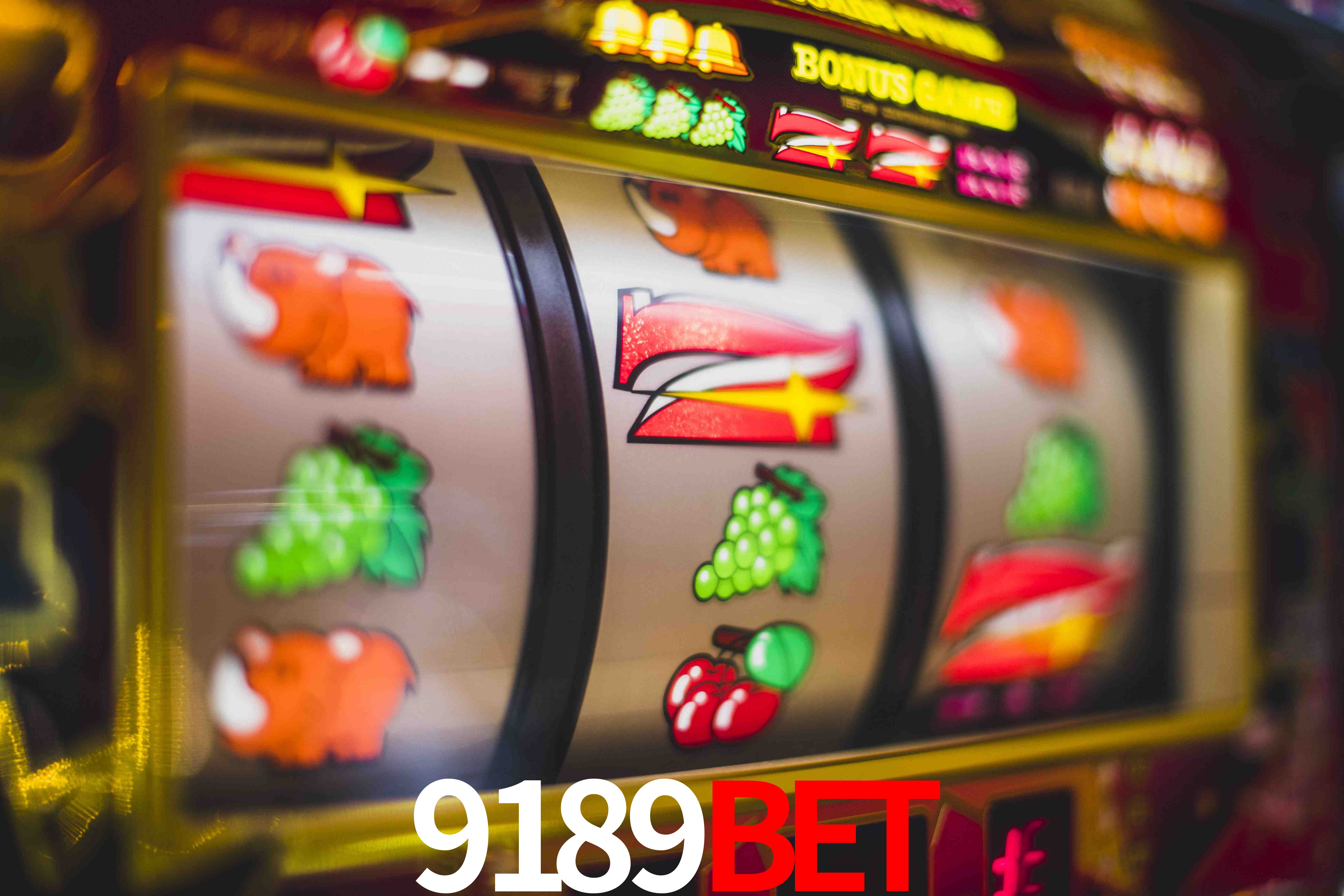 Experiência VIP 9189bet